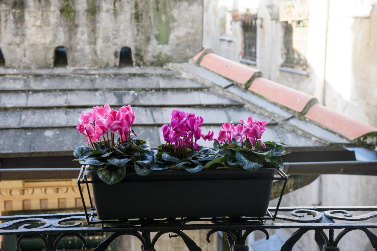 Piccoli Leoni Genua