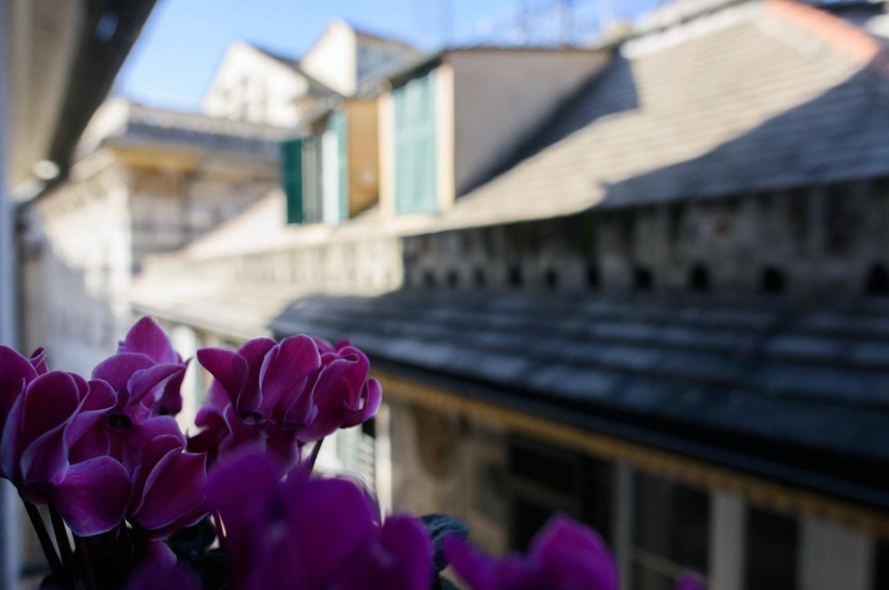 Bed & Breakfast Piccoli Leoni 3*